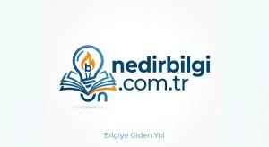 Lavanta Yağı Faydaları (Yeni Gelişme)